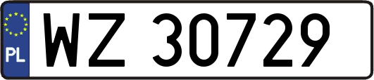 WZ30729
