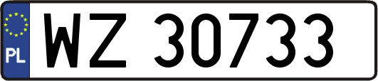 WZ30733
