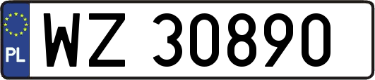 WZ30890
