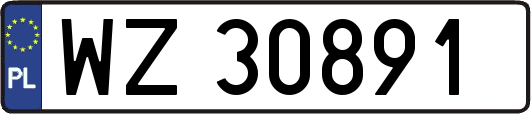 WZ30891
