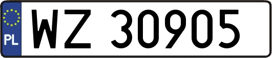 WZ30905