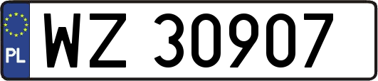 WZ30907