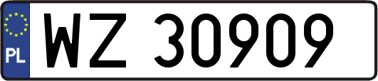 WZ30909