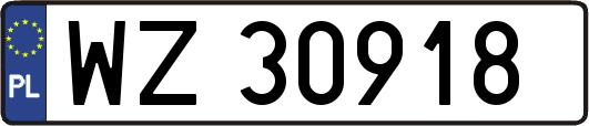 WZ30918