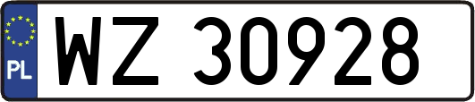 WZ30928
