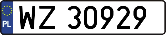WZ30929
