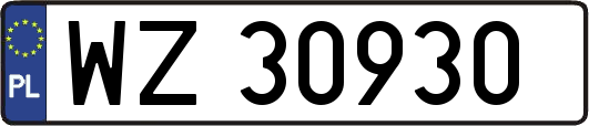 WZ30930