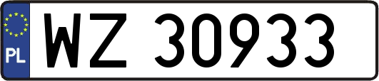 WZ30933
