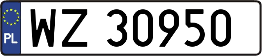 WZ30950