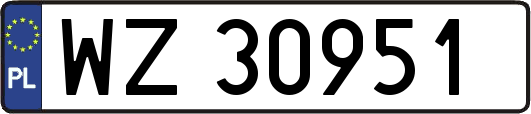 WZ30951