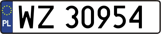 WZ30954