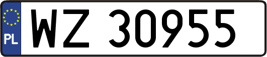 WZ30955