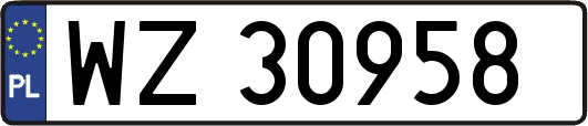 WZ30958