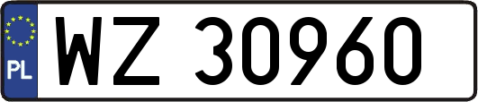 WZ30960