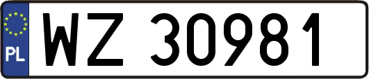 WZ30981