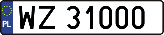 WZ31000