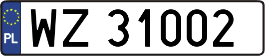 WZ31002
