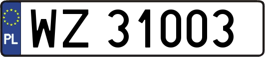 WZ31003