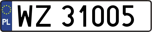 WZ31005