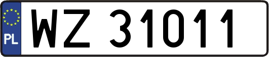 WZ31011