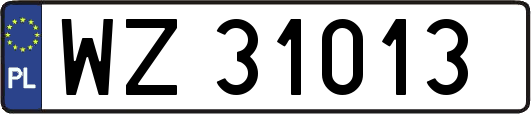 WZ31013