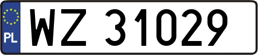 WZ31029