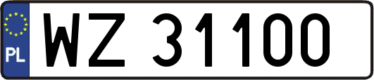 WZ31100