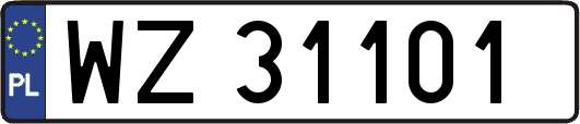 WZ31101