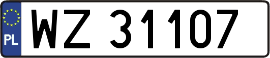 WZ31107
