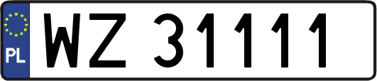 WZ31111