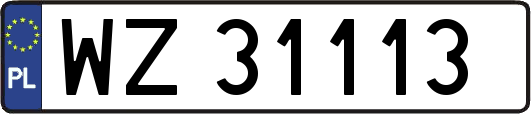 WZ31113