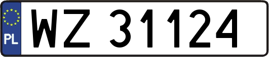 WZ31124