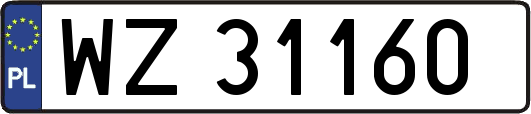 WZ31160