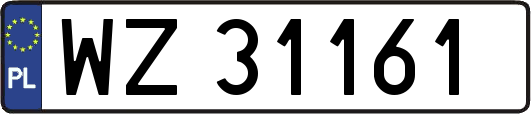 WZ31161