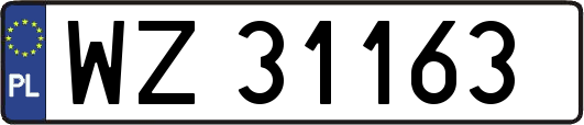 WZ31163