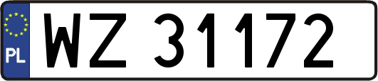 WZ31172