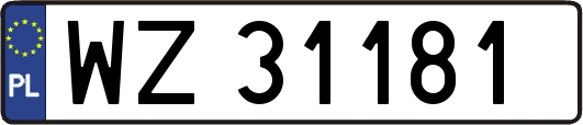 WZ31181