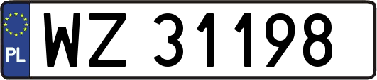 WZ31198