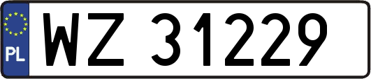 WZ31229