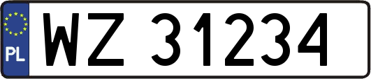 WZ31234