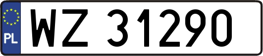 WZ31290