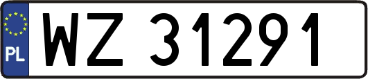 WZ31291