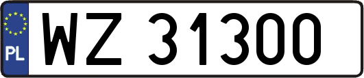 WZ31300