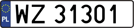 WZ31301