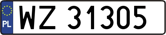 WZ31305