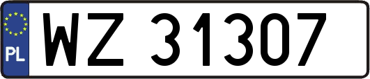 WZ31307