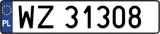 WZ31308