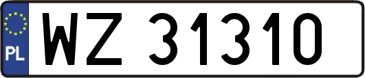WZ31310
