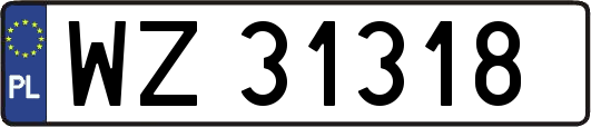 WZ31318