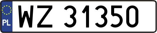 WZ31350